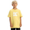 T-shirt enfant DC Shoes DC Star
