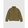 Vestes sur Grenoble : Veste Dickies SUMMERDALE PUFFER - DK0A87OGMGR1-MILITARY GREEN