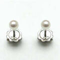 Boucles d'oreille sur Grenoble : Boucles oreilles Salvini Orecchini