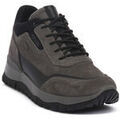 Baskets basses IgI&CO NABOUK GRIGIO Grenoble