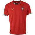 Tee-shirts sur Grenoble : T-shirt Puma FPF Home Jersey Replica