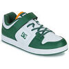 Baskets basses enfant DC Shoes MANTECA 4 V SN