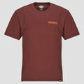 T-shirt Dickies BURNS TEE SS ANDORRA Grenoble