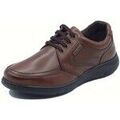Chaussures Zen 99006 Marron Chaussures Zen 99006 Marron Grenoble