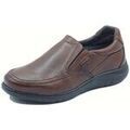 Chaussures Zen 99004 Marron