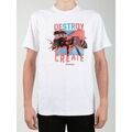 Tee-shirts sur Grenoble : T-shirt DC Shoes DC SEDYZT03771-WBB0