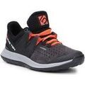 Randonn&eacute;e sur Grenoble : Chaussures Five Ten Access 5234 Multicolore