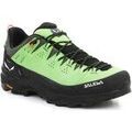 Chaussures Salewa Alp Trainer 2 Gore-Tex® Men's Shoe 61400-5660 Vert Chaussures Salewa Alp Trainer 2 Gore-Tex® Men's Shoe 61400-5660 Vert Grenoble