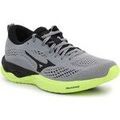 Chaussures Mizuno Wave Revolt 2 J1GC218111