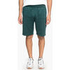 Short DC Shoes DC HEGGERTY SHORT JUNE BUG SEDYFB03047