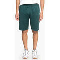 Short DC Shoes DC HEGGERTY SHORT JUNE BUG SEDYFB03047 Grenoble
