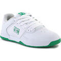 Chaussures de Skate DC Shoes DC CENTRAL ADYS100551-WGN Grenoble