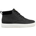 Baskets homme sur Grenoble : Baskets montantes Pme Legend Lexing-T
