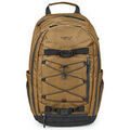Sac a dos Element SCHEME SKATE BPK