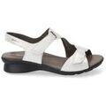 Tennis sur Grenoble : Chaussures Mephisto PARIS