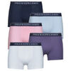 Boxers Polo Ralph Lauren CLSSIC TRUNK-5 PACK-TRUNK Multicolore