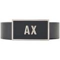 Ceintures sur Grenoble : Ceinture EAX -