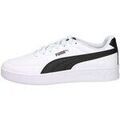 Baskets homme sur Grenoble : Baskets basses Puma 402223