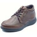Chaussures Zen 99050 Marron Grenoble