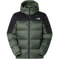 Vestes sur Grenoble : Veste The North Face Diablo 2.0