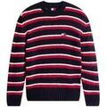 Pull Tommy Hilfiger DM0DM22109 XJ7 Grenoble