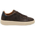 Baskets homme sur Grenoble : Baskets basses Blauer F5BUCK07-LEA