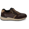 Baskets basses Valleverde VY904AF-MARRONE