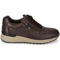 Baskets homme sur Grenoble : Baskets basses Valleverde VY954W-MARRONE