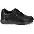Baskets homme sur Grenoble : Baskets basses Valleverde VY954W-NERO