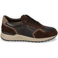 Baskets homme sur Grenoble : Baskets basses Valleverde VY956W-MARRONE
