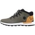 Bottes homme sur Grenoble : Bottes Timberland SPRINT TREKKER MID