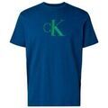 T-shirt Calvin Klein Jeans - Tee-shirt - bleu Grenoble