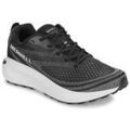 Running sur Grenoble : Chaussures Merrell MORPHLITE
