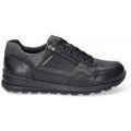 Randonn&eacute;e sur Grenoble : Chaussures Mephisto Baskets BRADLEY Multicolore