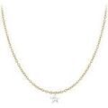 Collier Sc Crystal B2382-DORE-10002-CRYS Dor&eacute;