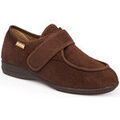 Chaussons / Pantoufles sur Grenoble : Chaussons Calzamedi 3081 marron