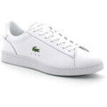 Baskets Lacoste Basket Homme En Cuir Carnaby Set