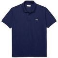 Polo Lacoste Best