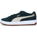 Baskets homme sur Grenoble : Baskets basses Puma 402633-04