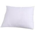 Linge de maison sur Grenoble : Oreillers / Traversins Dodo Moelleux Anti-Acariens Blanc 50x70 cm. . Maison & D&eacute;co > Oreillers / Traversins.