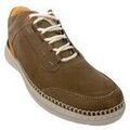 Randonn&eacute;e sur Grenoble : Chaussures Baerchi Chaussure homme marron 3643 Marron