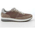 Running sur Grenoble : Chaussures IgI&CO -