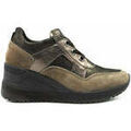Running sur Grenoble : Chaussures IgI&CO -