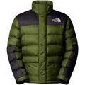 Vestes sur Grenoble : Blouson The North Face Limbara