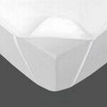 Surmatelas Promo Linge Al&egrave;se Jetable Imperm&eacute;able + &Eacute;lastiques x2 Blanc Unique. . Maison & D&eacute;co > Surmatelas. Grenoble