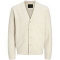 Gilet Jack & Jones 12289068 BLASIMON-SILVER LINING Grenoble
