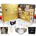 Parures Sc Crystal AVENT14-MONTRE-DIAMANT Grenoble