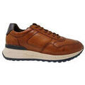 Baskets homme sur Grenoble : Baskets Ara CHAUSSURES 126801