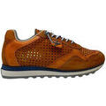 Baskets Cetti CHAUSSURES C-848