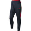 Jogging Nike Pantalon de surv&ecirc;tement Bleu